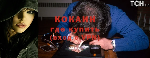 сатива Арсеньев
