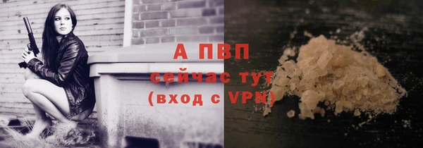 сатива Арсеньев