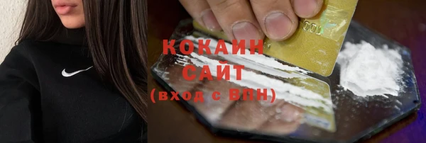 сатива Арсеньев