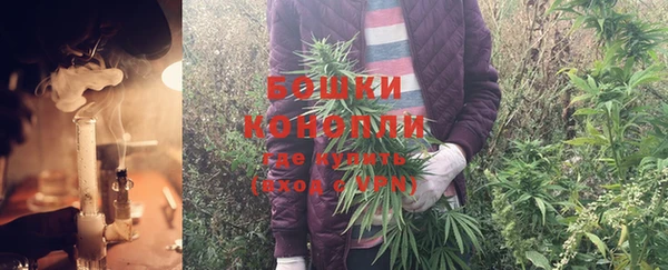 сатива Арсеньев